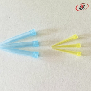 Đầu côn Xanh có khía, Đầu côn Vàng có khía