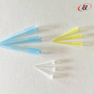 Đầu côn Xanh không khía, Đầu côn Vàng không khía, Đầu côn Trắng